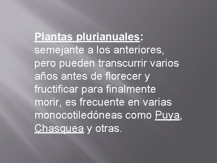 Plantas plurianuales: semejante a los anteriores, pero pueden transcurrir varios años antes de florecer