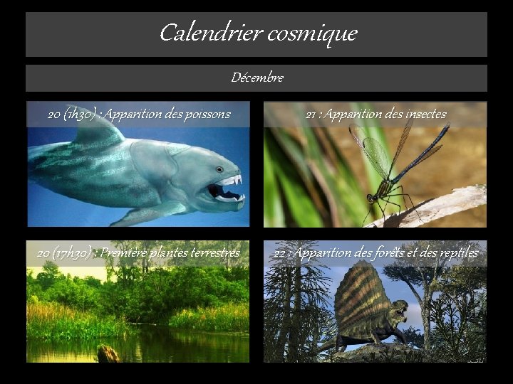 Calendrier cosmique Décembre 20 (1 h 30) : Apparition des poissons 21 : Apparition