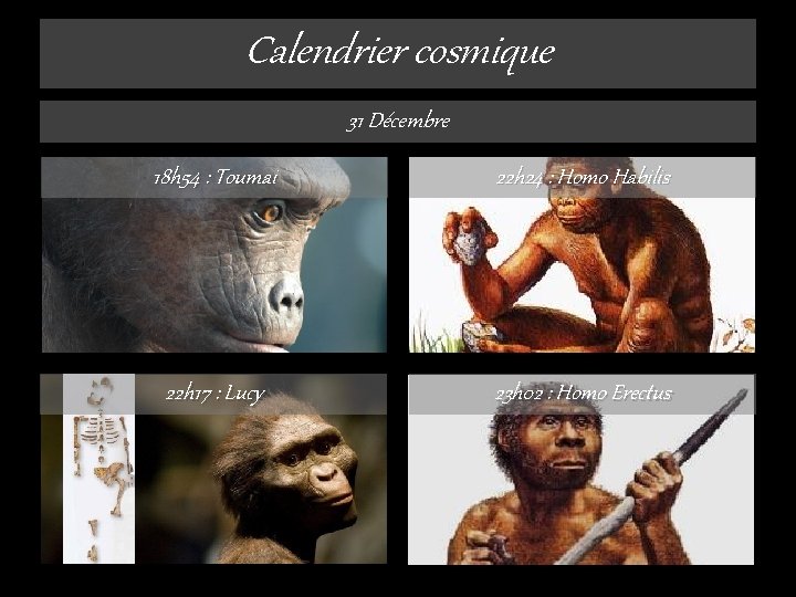 Calendrier cosmique 31 Décembre 18 h 54 : Toumai 22 h 24 : Homo