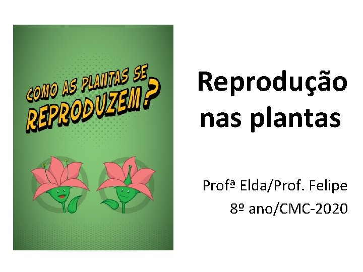 Reprodução nas plantas Profª Elda/Prof. Felipe 8º ano/CMC-2020 