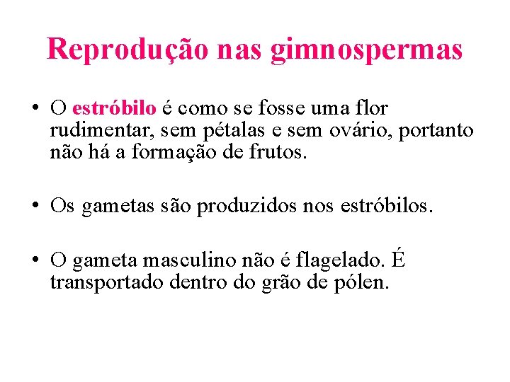 Reprodução nas gimnospermas • O estróbilo é como se fosse uma flor rudimentar, sem