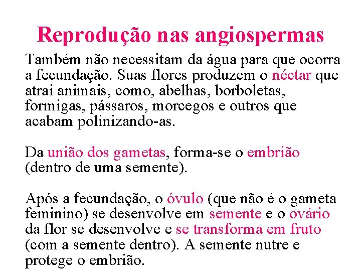 Reprodução nas angiospermas Também não necessitam da água para que ocorra a fecundação. Suas