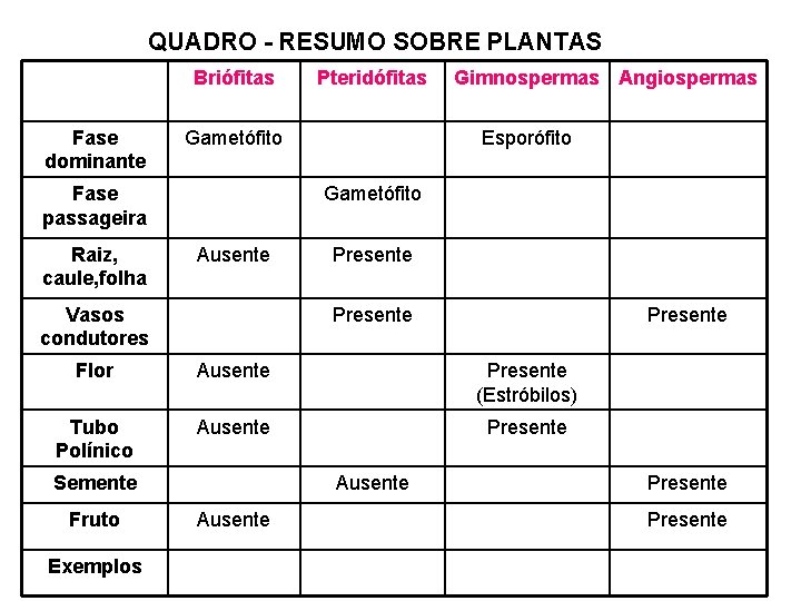 QUADRO - RESUMO SOBRE PLANTAS Briófitas Fase dominante Gametófito Fase passageira Raiz, caule, folha