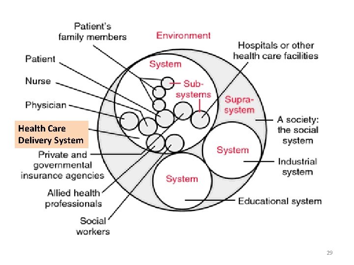 Health Care Delivery System 29 