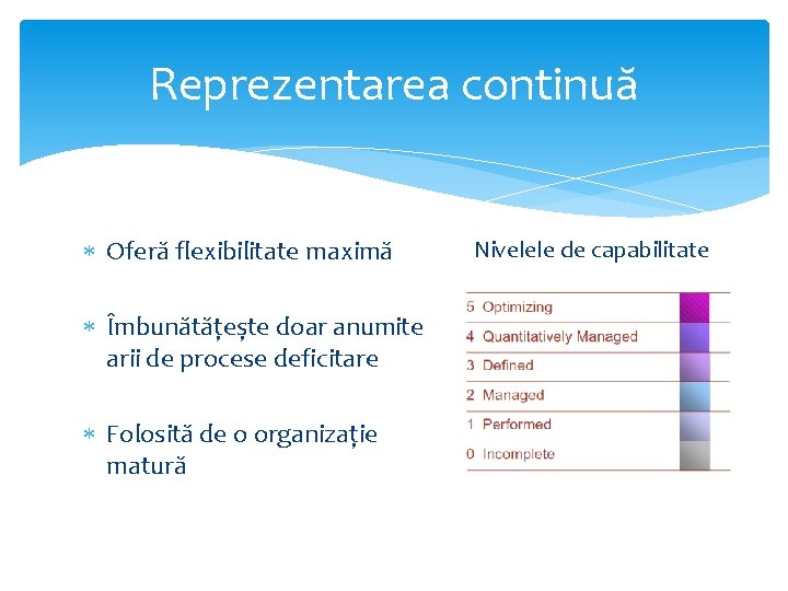 Reprezentarea continuă Oferă flexibilitate maximă Îmbunătățește doar anumite arii de procese deficitare Folosită de