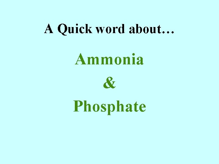 A Quick word about… Ammonia & Phosphate 