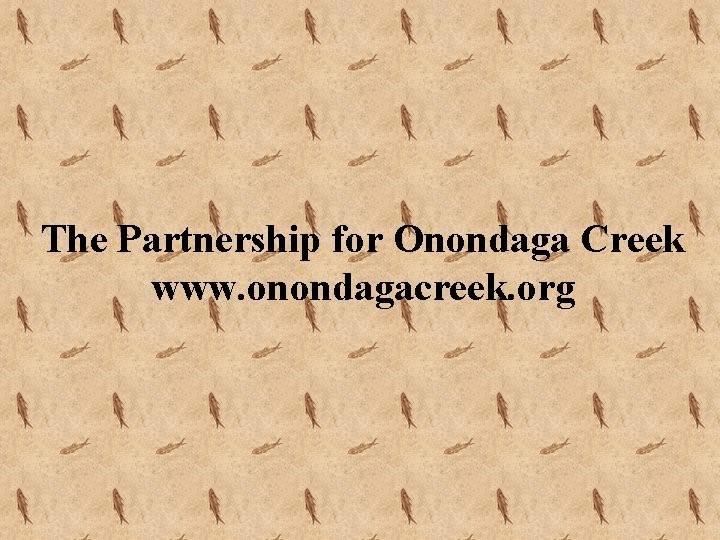The Partnership for Onondaga Creek www. onondagacreek. org 