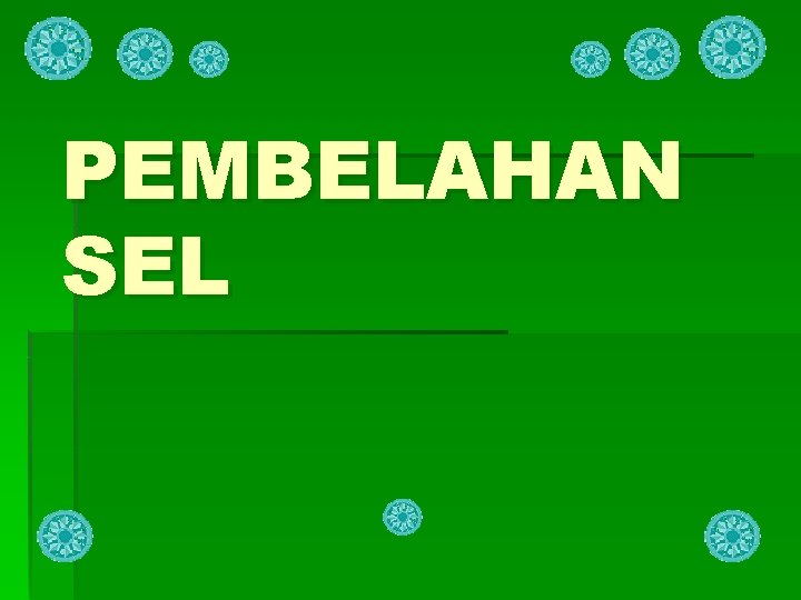 PEMBELAHAN SEL 