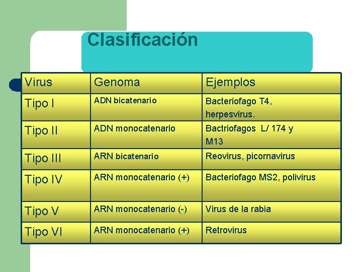 Clasificación Virus Genoma Ejemplos Tipo I ADN bicatenario Bacteriofago T 4, herpesvirus. Tipo II