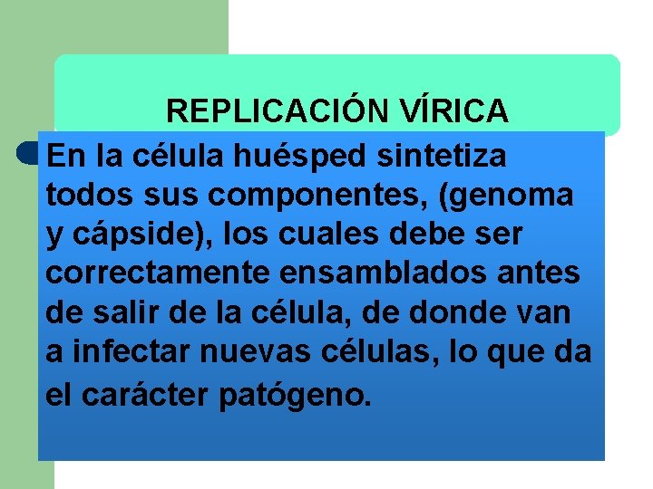 REPLICACIÓN VÍRICA En la célula huésped sintetiza todos sus componentes, (genoma y cápside), los