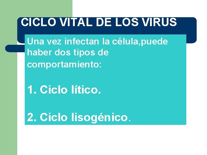 CICLO VITAL DE LOS VIRUS Una vez infectan la célula, puede haber dos tipos