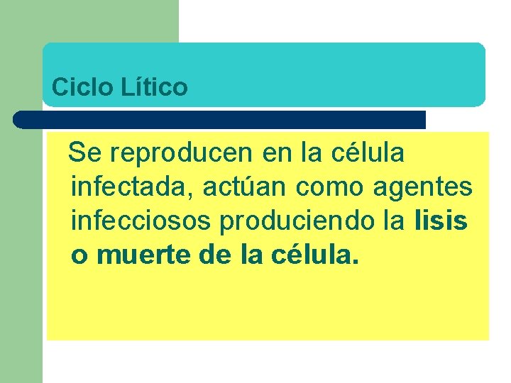 Ciclo Lítico Se reproducen en la célula infectada, actúan como agentes infecciosos produciendo la