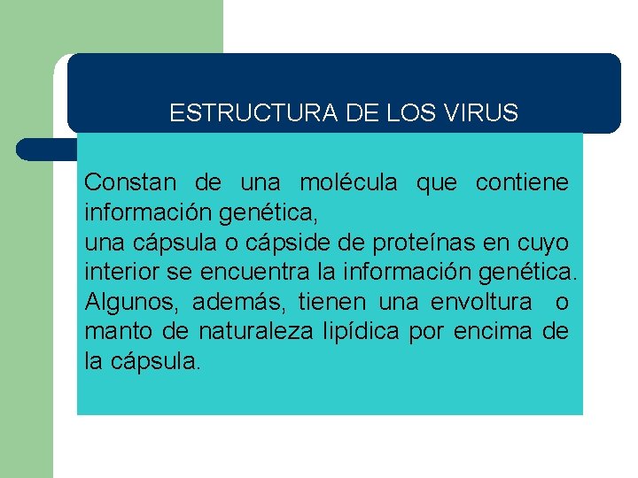 ESTRUCTURA DE LOS VIRUS Constan de una molécula que contiene información genética, una cápsula