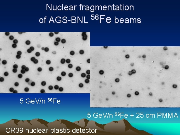 Nuclear fragmentation 56 of AGS-BNL Fe beams 5 Ge. V/n 56 Fe + 25