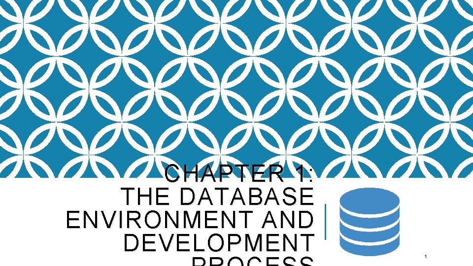 CHAPTER 1: THE DATABASE ENVIRONMENT AND DEVELOPMENT 1 