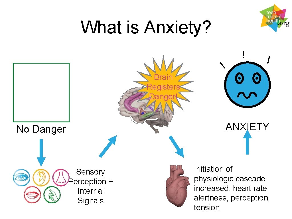 What is Anxiety? ! ! ! Brain Registers Danger! ANXIETY No Danger Sensory Perception