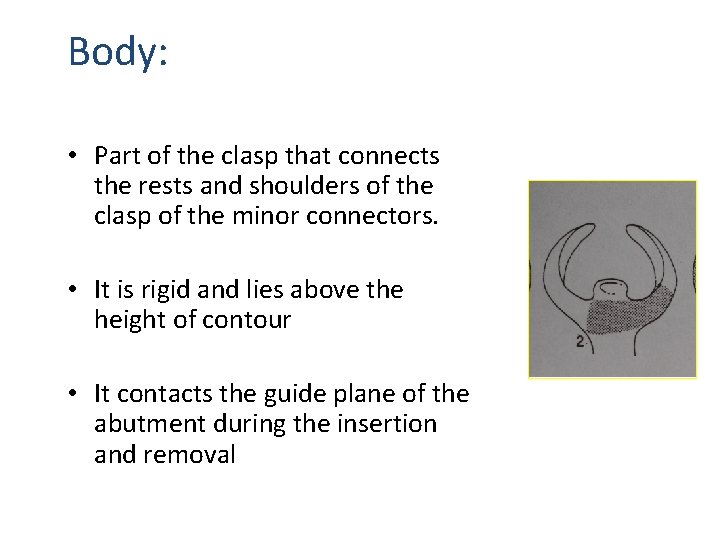 Body: • Part of the clasp that connects the rests and shoulders of the