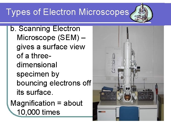 Types of Electron Microscopes b. Scanning Electron Microscope (SEM) – gives a surface view