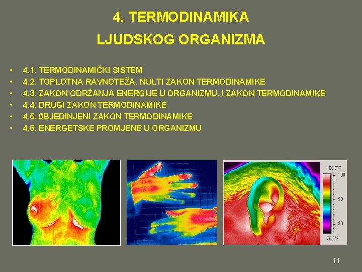 4. TERMODINAMIKA LJUDSKOG ORGANIZMA • • • 4. 1. TERMODINAMIČKI SISTEM 4. 2. TOPLOTNA