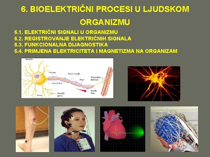 6. BIOELEKTRIČNI PROCESI U LJUDSKOM ORGANIZMU 6. 1. ELEKTRIČNI SIGNALI U ORGANIZMU 6. 2.