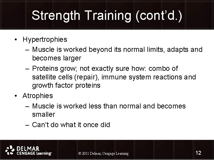 Strength Training (cont’d. ) • Hypertrophies – Muscle is worked beyond its normal limits,