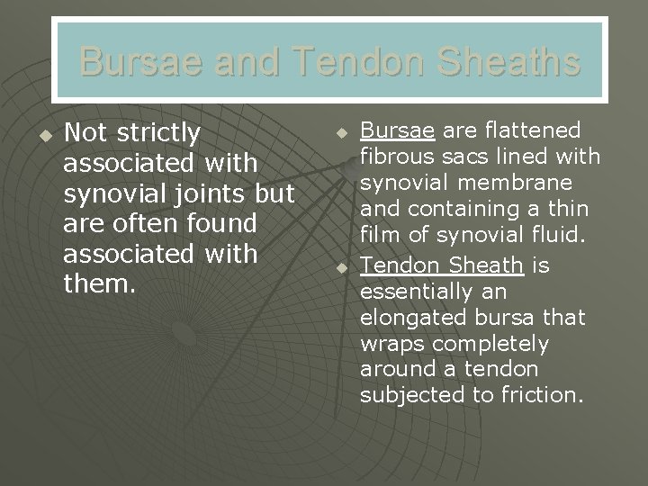 Bursae and Tendon Sheaths u Not strictly associated with synovial joints but are often