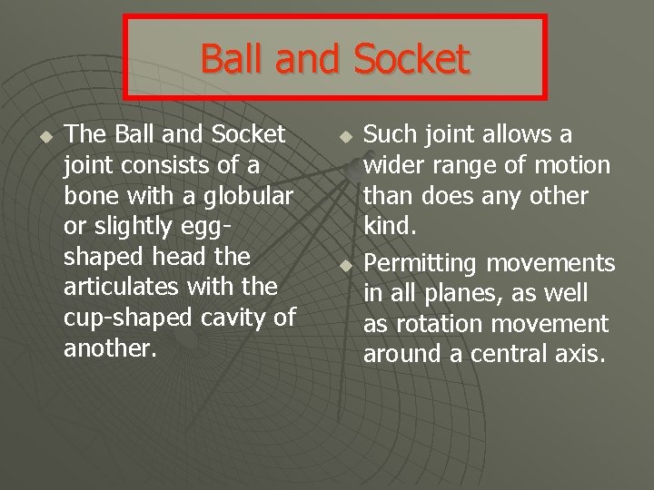 Ball and Socket u The Ball and Socket joint consists of a bone with