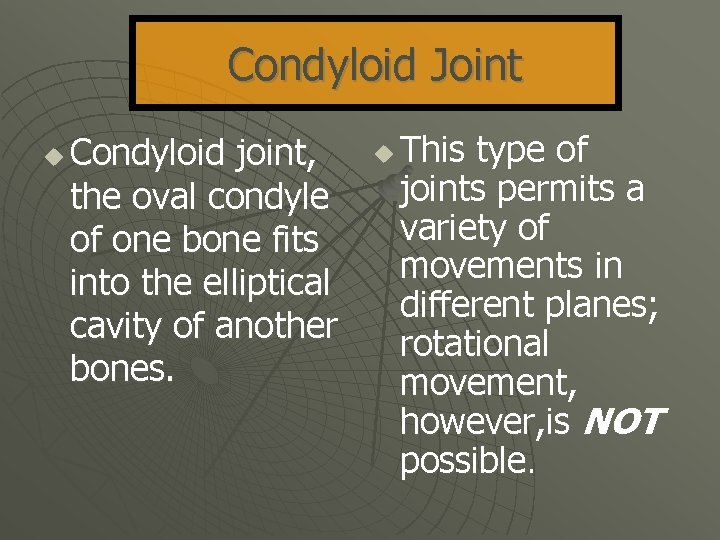 Condyloid Joint u Condyloid joint, the oval condyle of one bone fits into the