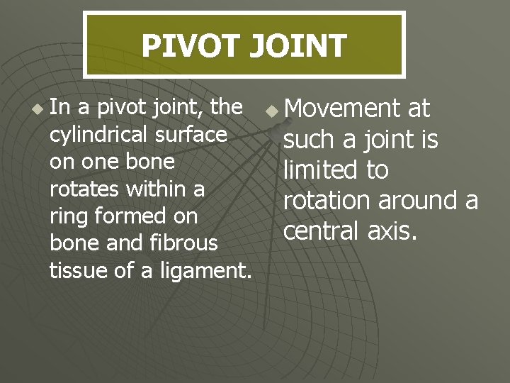 PIVOT JOINT u In a pivot joint, the cylindrical surface on one bone rotates