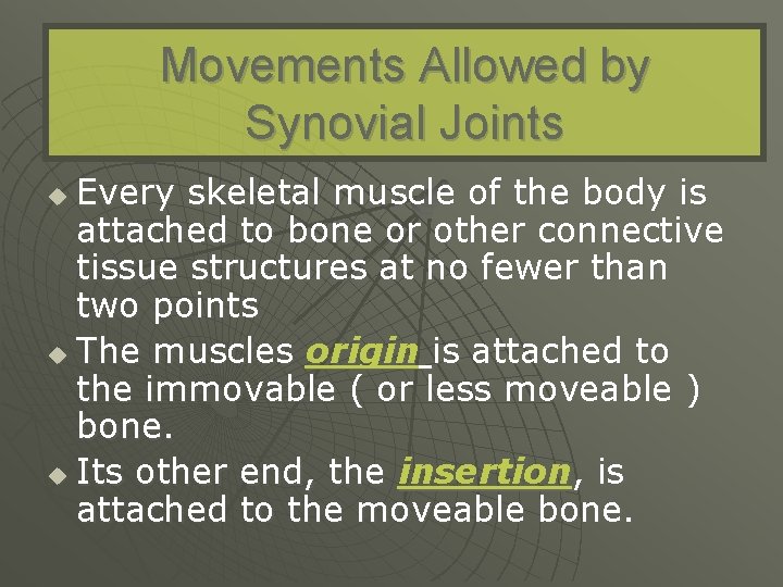 Movements Allowed by Synovial Joints Every skeletal muscle of the body is attached to