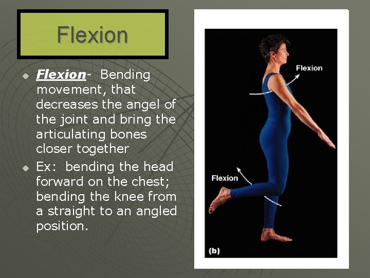 Flexion u u Flexion- Bending movement, that decreases the angel of the joint and