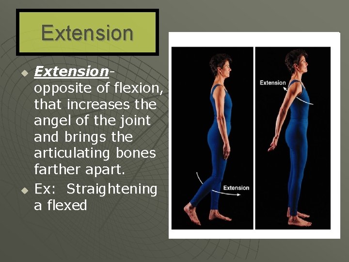 Extension u u Extension- opposite of flexion, that increases the angel of the joint