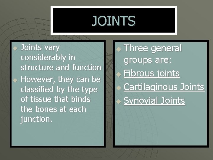 JOINTS u u Joints vary considerably in structure and function However, they can be