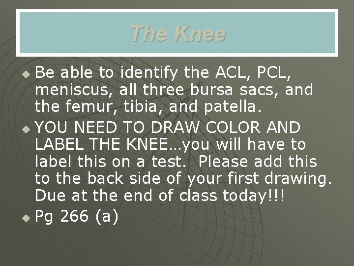 The Knee Be able to identify the ACL, PCL, meniscus, all three bursa sacs,