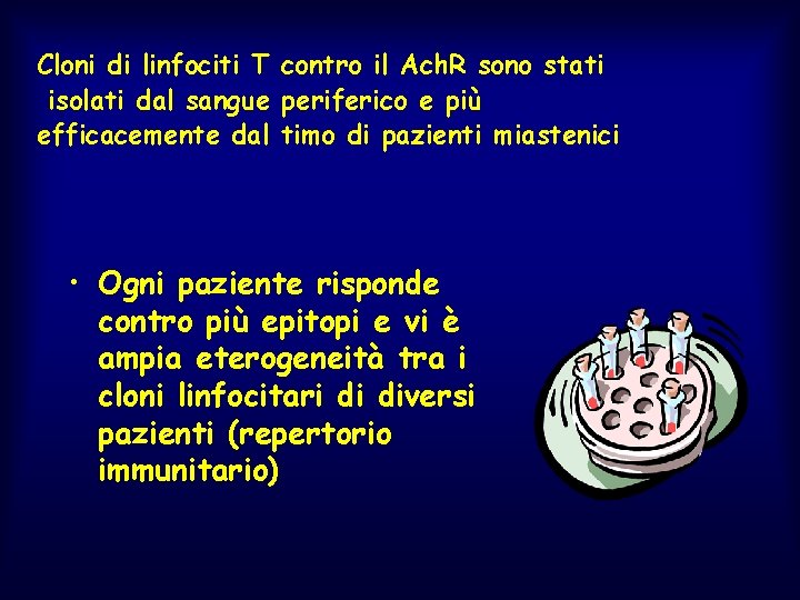 Cloni di linfociti T contro il Ach. R sono stati isolati dal sangue periferico