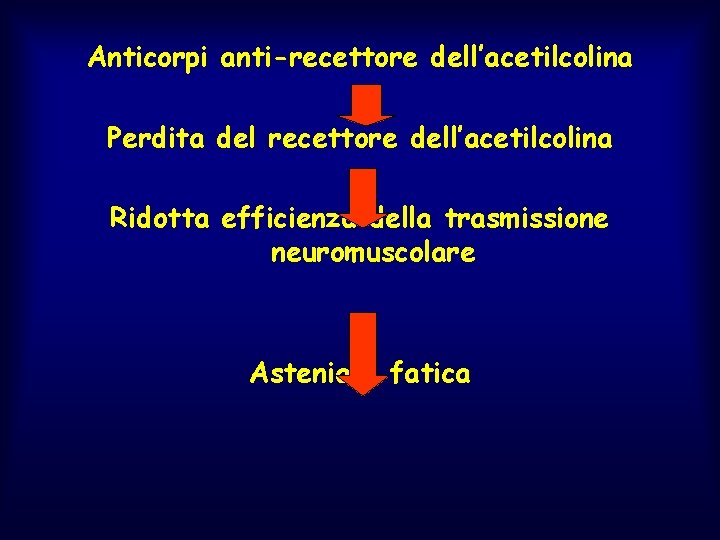 Anticorpi anti-recettore dell’acetilcolina Perdita del recettore dell’acetilcolina Ridotta efficienza della trasmissione neuromuscolare Astenia e