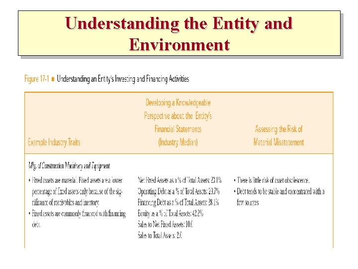 Understanding the Entity and Environment 