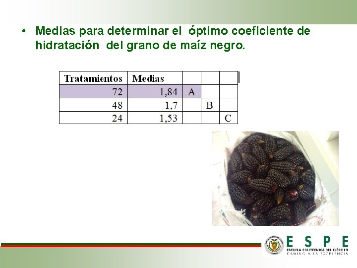  • Medias para determinar el óptimo coeficiente de hidratación del grano de maíz