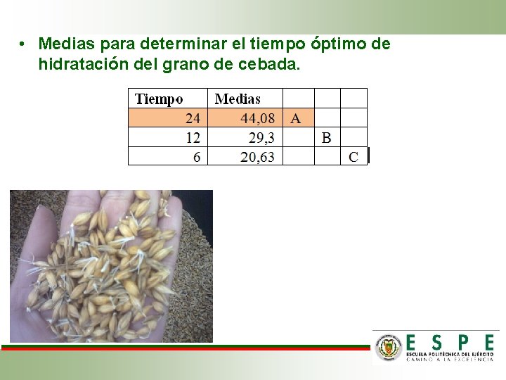  • Medias para determinar el tiempo óptimo de hidratación del grano de cebada.