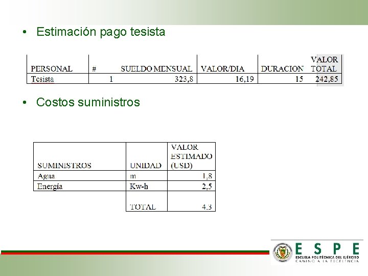  • Estimación pago tesista • Costos suministros 