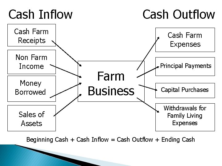 Cash Inflow Cash Outflow Cash Farm Receipts Non Farm Income Money Borrowed Sales of