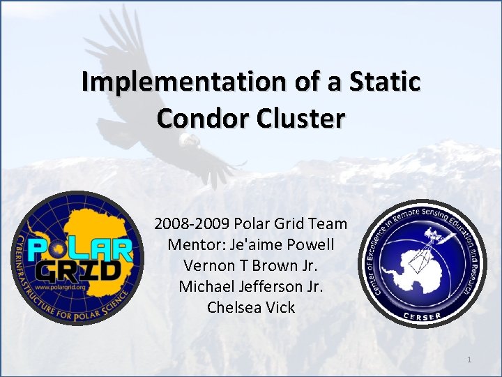 Implementation of a Static Condor Cluster 2008 -2009 Polar Grid Team Mentor: Je'aime Powell