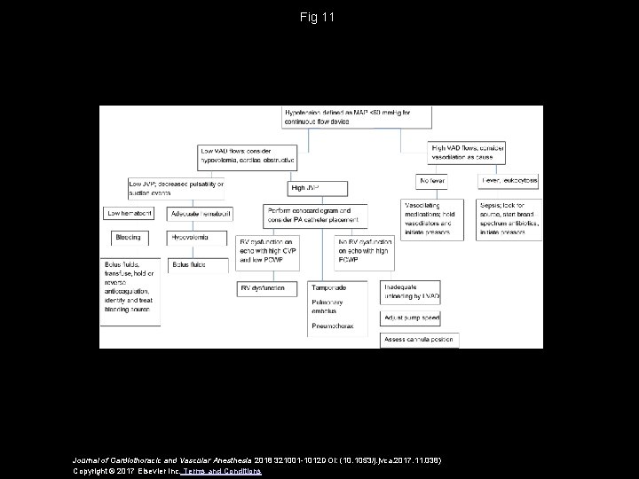 Fig 11 Journal of Cardiothoracic and Vascular Anesthesia 2018 321001 -1012 DOI: (10. 1053/j.