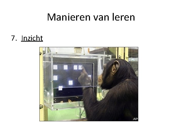 Manieren van leren 7. Inzicht 