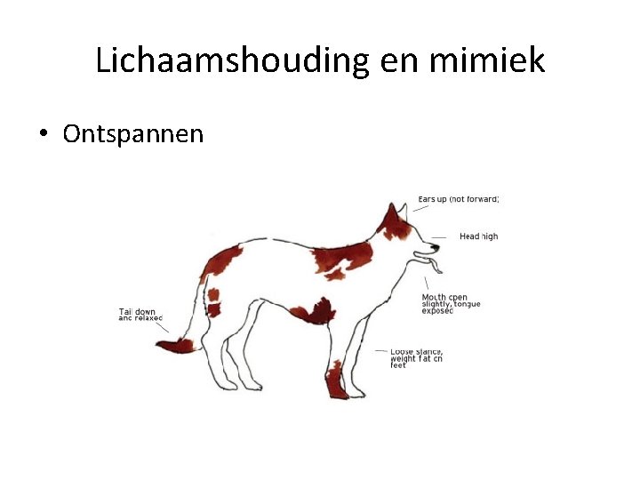 Lichaamshouding en mimiek • Ontspannen 