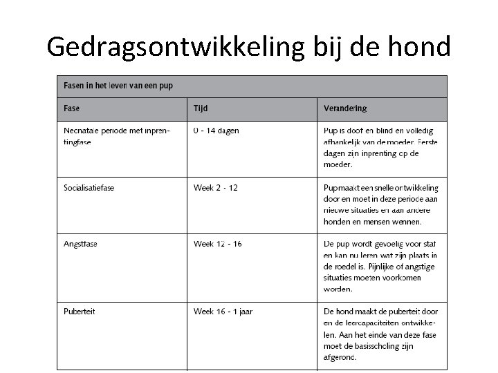 Gedragsontwikkeling bij de hond 