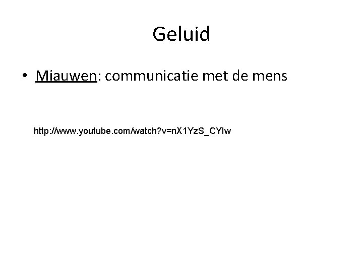 Geluid • Miauwen: communicatie met de mens http: //www. youtube. com/watch? v=n. X 1