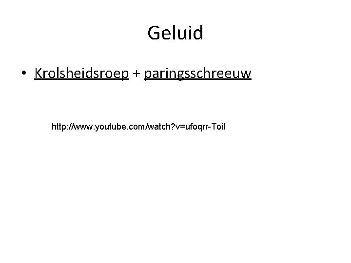 Geluid • Krolsheidsroep + paringsschreeuw http: //www. youtube. com/watch? v=ufoqrr-Toi. I 