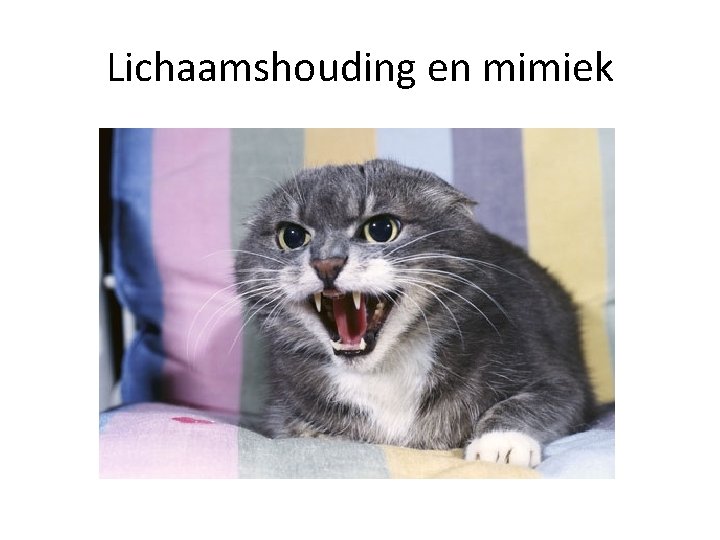 Lichaamshouding en mimiek 