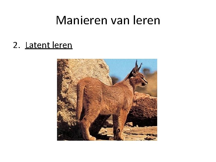 Manieren van leren 2. Latent leren 